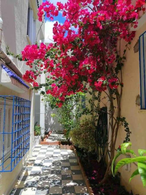 Maison A El Omrane . Tunus Dış mekan fotoğraf